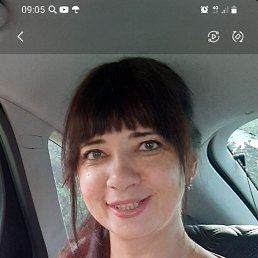 �����, 41 ���, ����